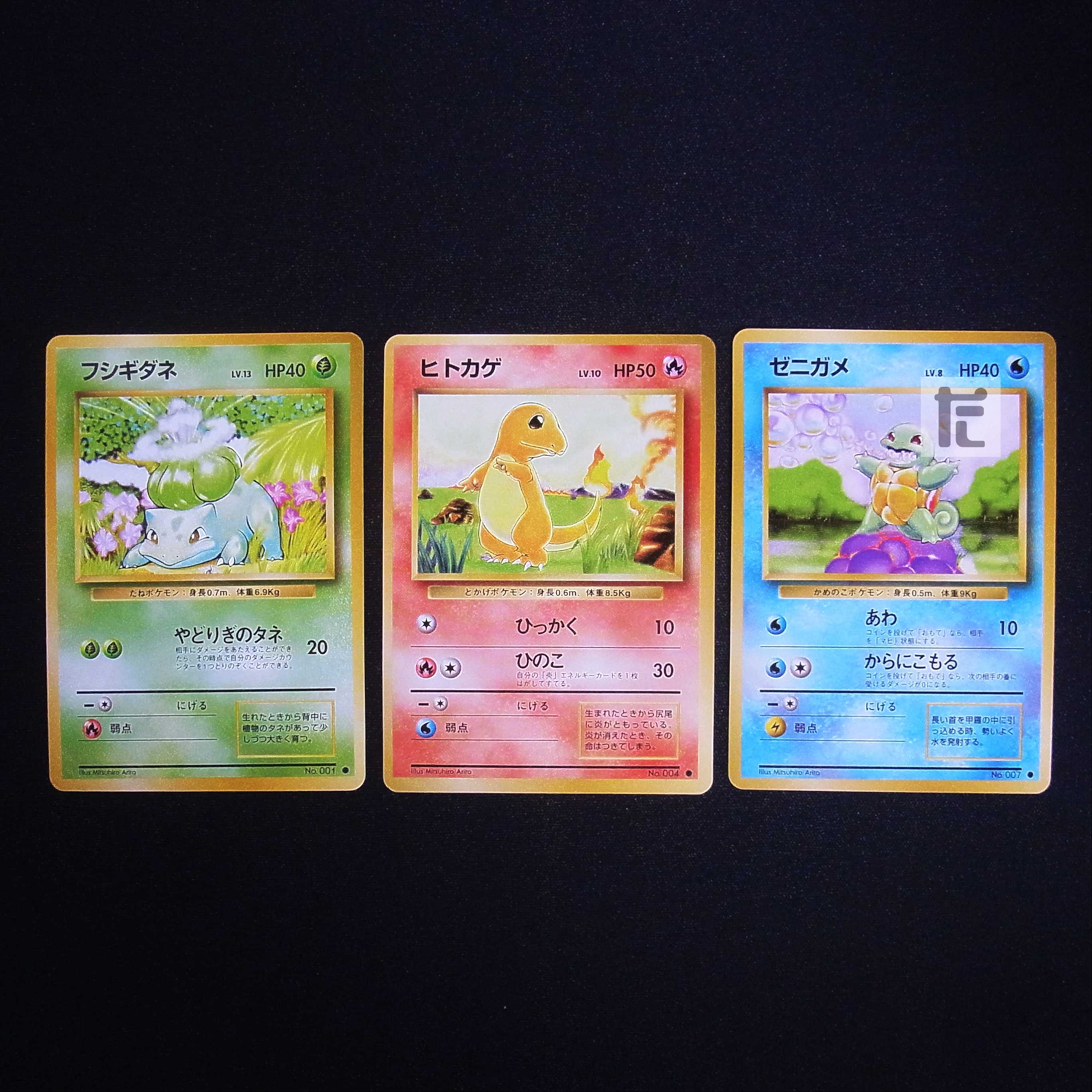 フシギダネ/ヒトカゲ/ゼニガメ 旧裏 3枚セット/管理:MP4428