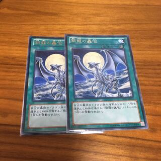 銀龍の轟咆　レア　2枚　傷アリ