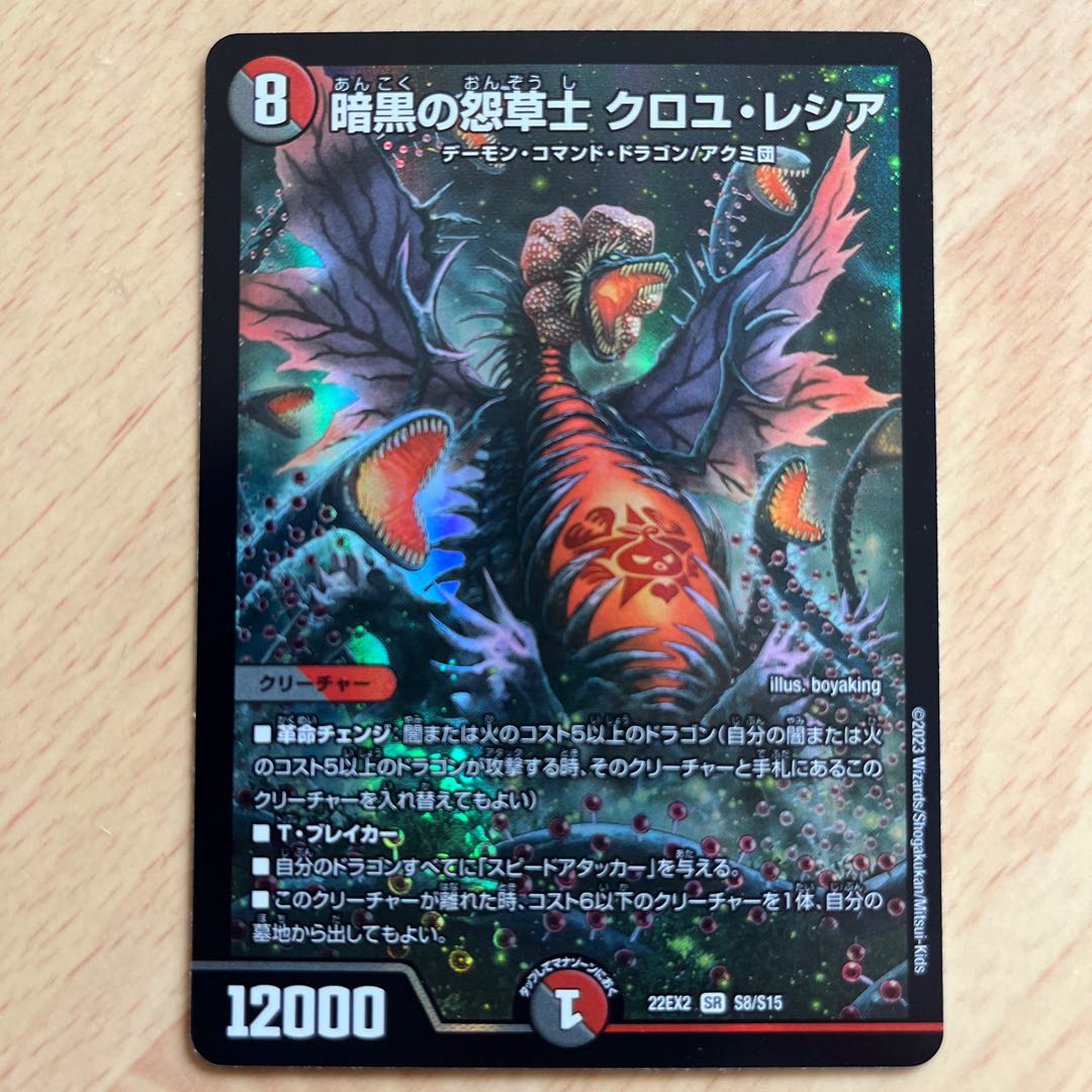 Darkness Grudge Grass Warrior Croyle Lecia SR S8/S15