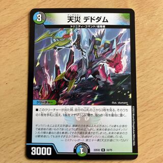 天災 デドダム R 33/75 1枚