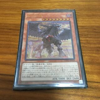 戒めの龍　レリーフ　　パニッシュメントドラグーン