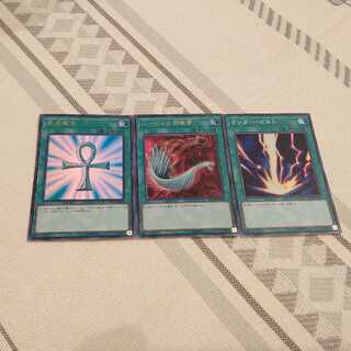 死者蘇生　ハーピィの羽根箒　サンダーボルト