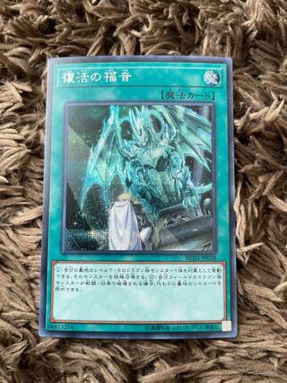 Return of the Dragon Lords Secret Rare JP038