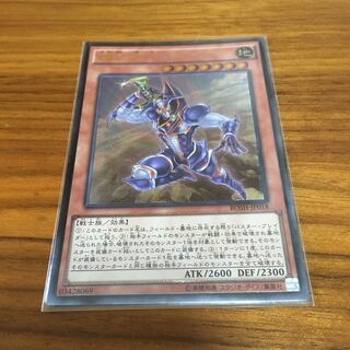 破壊剣の使い手　バスターブレイダー　傷あり