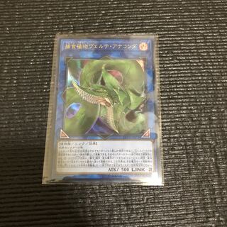 捕食植物ヴェルテ・アナコンダ UR