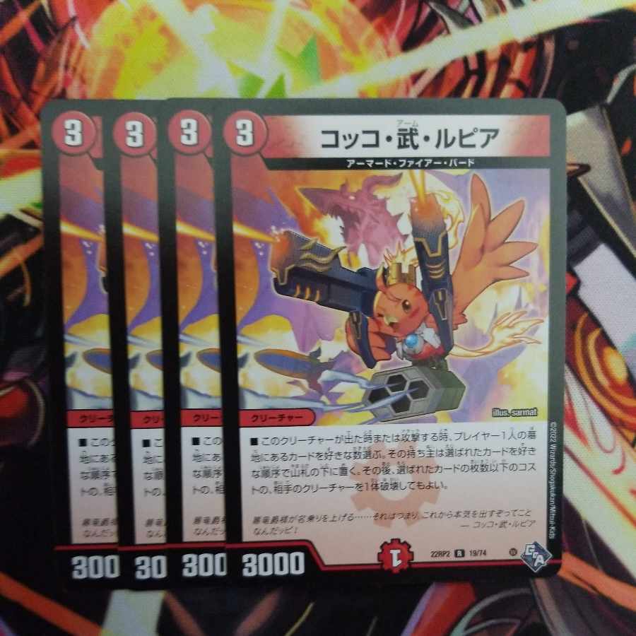 Cocco Bu Lupia R 19/74