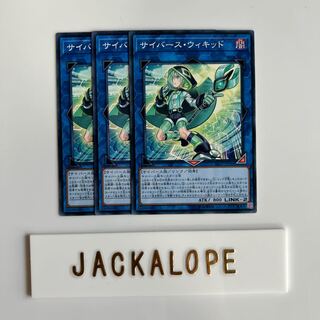 サイバース・ウィキッド $6870