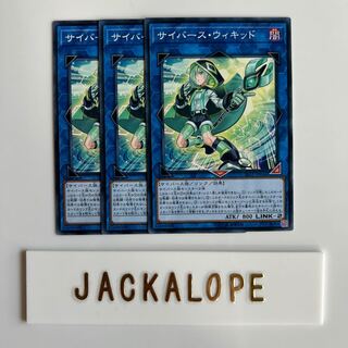 サイバース・ウィキッド $6871