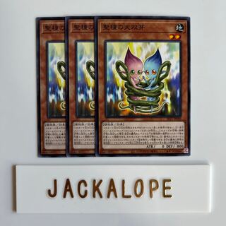 10594 Sunseed Twin $6877