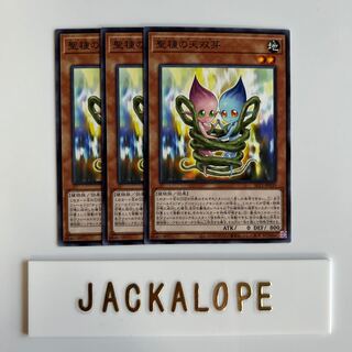 10595 Sunseed Twin $6878