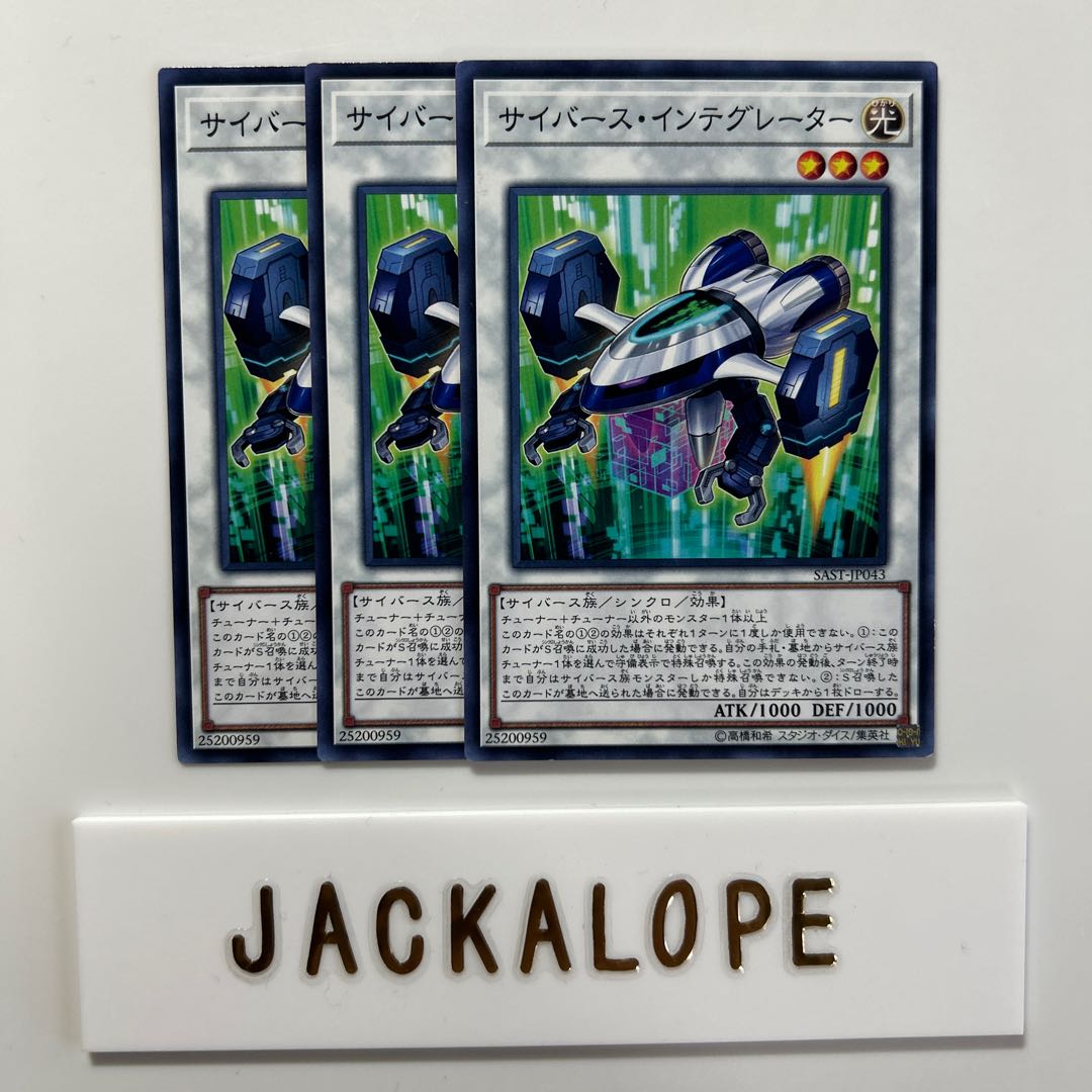 10606 サイバース・インテグレーター ノーマル JP043