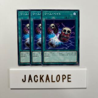 10607 Worm Bait $6898