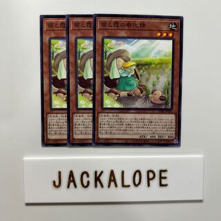 Seedlings and Haze Spring Happening Spirit $6909