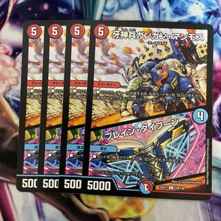 Buletteen Typhoon C 128/130 4 pieces