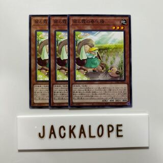 Seedlings and Haze Spring Happening Spirit $6915