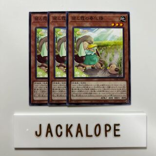 Seedlings and Haze Spring Happening Spirit $6920