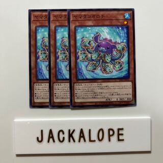 yamatakoorochi $6923