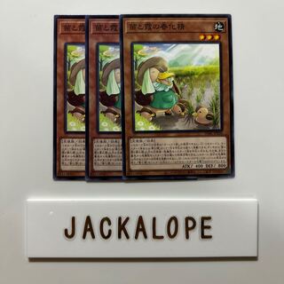 Seedling and Haze vernalization spirit $6924