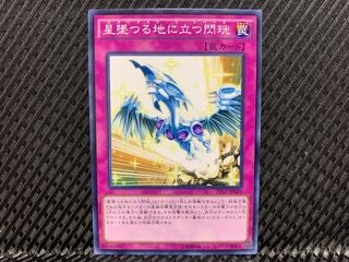 【アゴ之内】遊戯王 星墜つる地に立つ閃珖 ノーマル