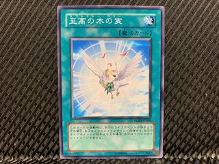 [Agonouchi] Yu-Gi-Oh! Supremacy Berry Normal