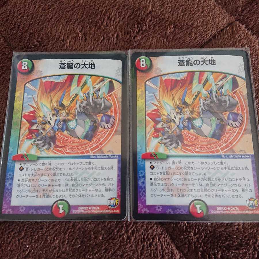 蒼龍の大地 2枚セット