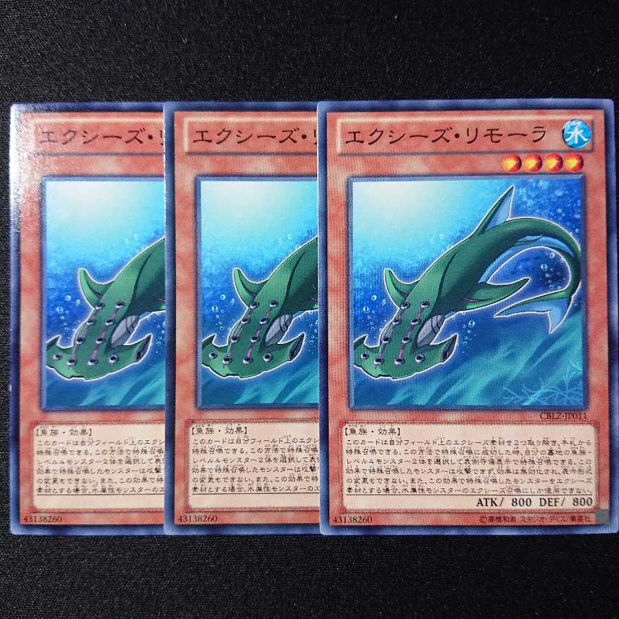 エクシーズ・リモーラ