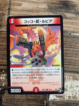 Cocco Bu Lupia R 19/74