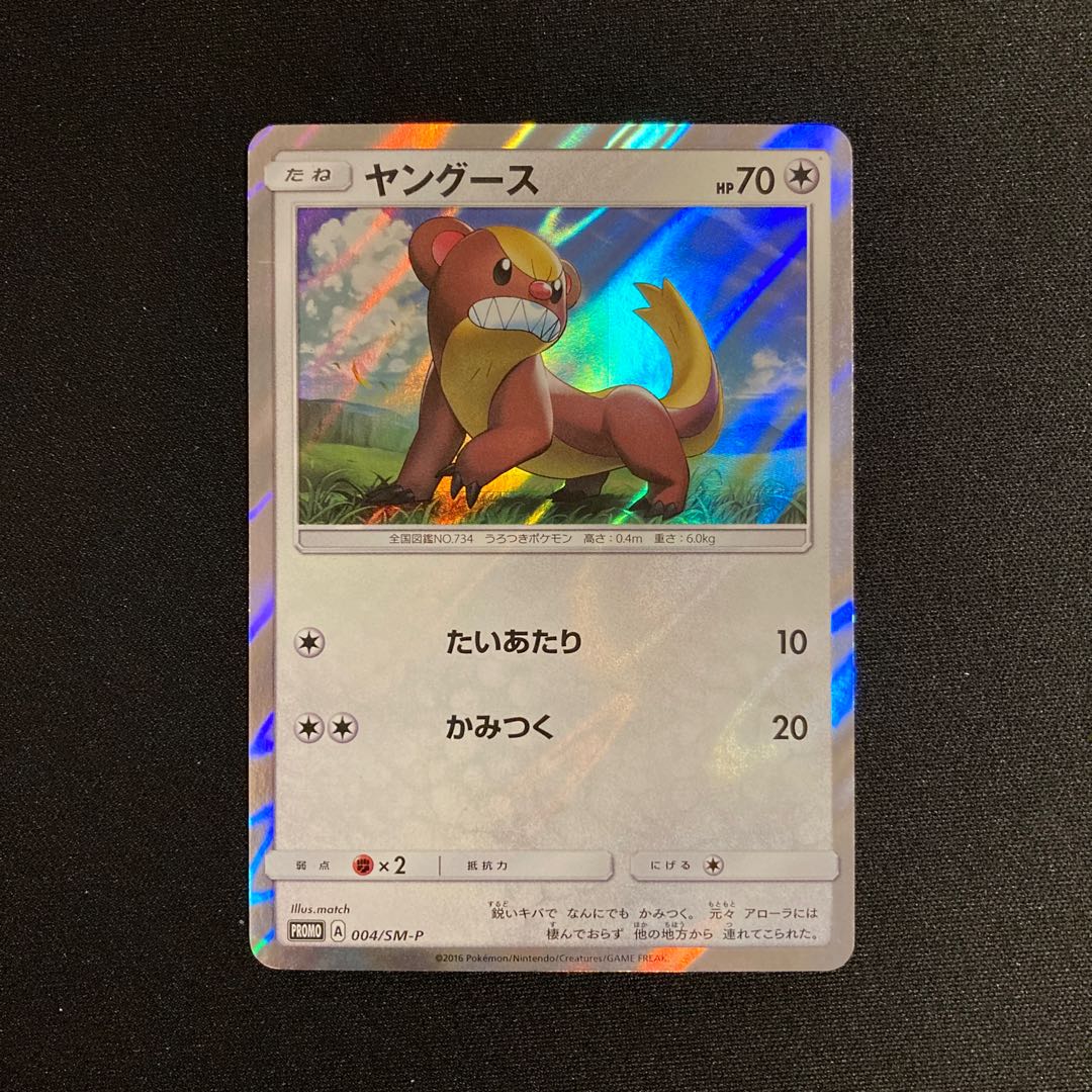 h307 Yungoos Promo Pokémon Treasurer