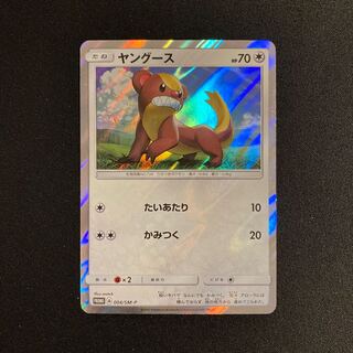 h307 Yungoos Promo Pokémon Treasurer