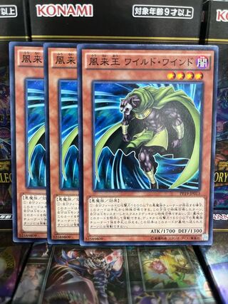 遊戯王スタジオ 2925 風来王 ワイルド・ワインド ノーマル JP013 1枚