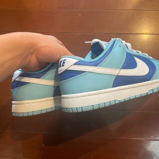 Nike Dunk Low Retro Qs "Argon" (2022) Flash/Ho Wight-Argon Snubbull-Flash DM0121-400 28cm