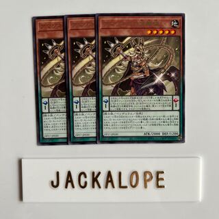 アマゾネスの金鞭使い レア JP030 $6939