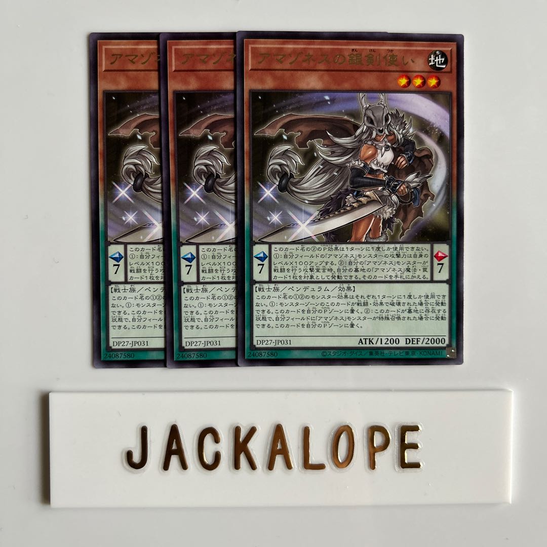 Silver Sword User of Amazones Rare JP031 $6940