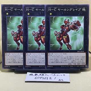 Ｈ-Ｃ ヤールングレイプ ノーマル JP045