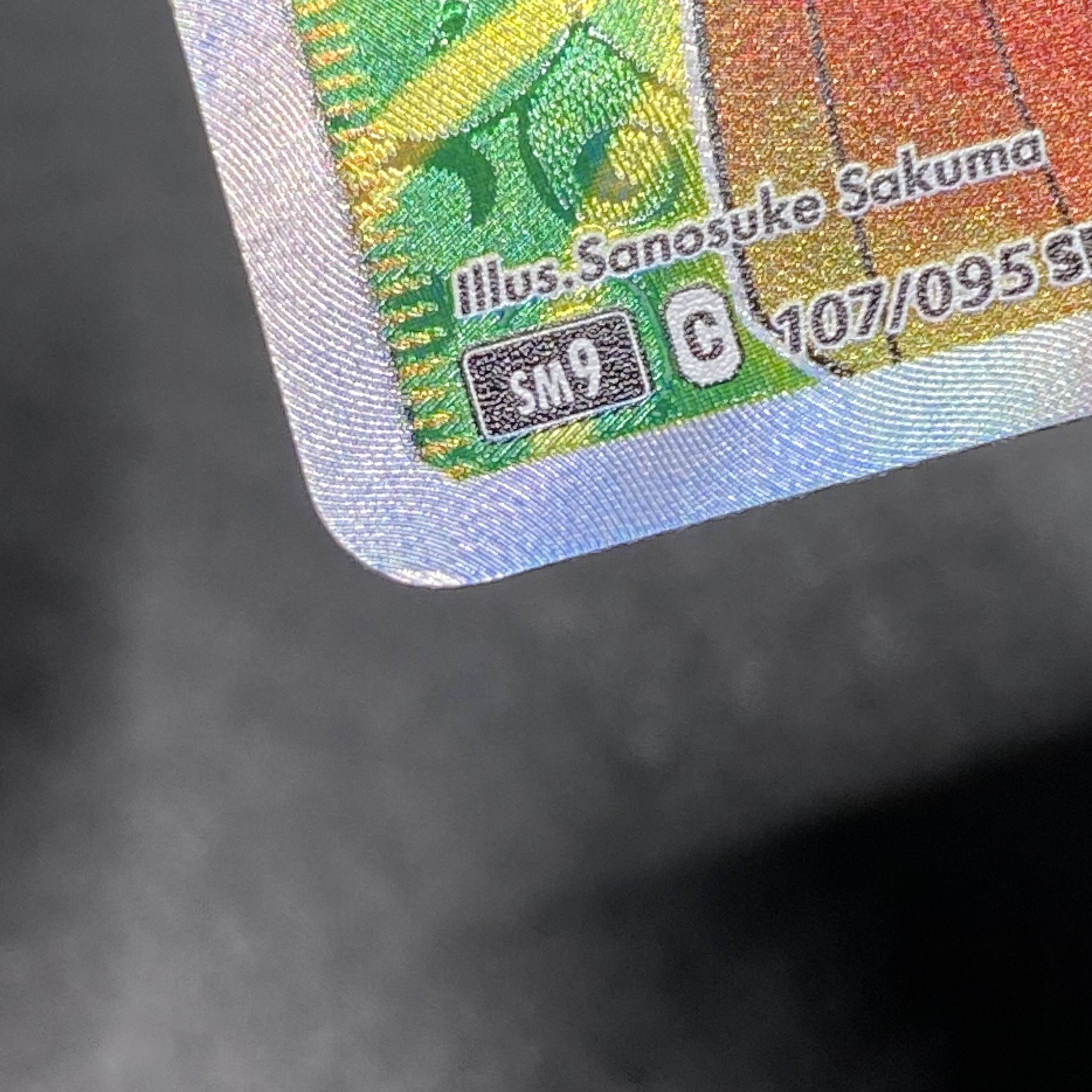 Erika's Hospitality SR 107/095