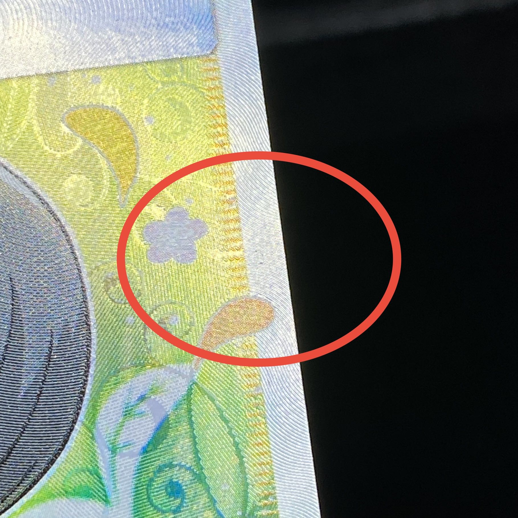 Erika's Hospitality SR 107/095