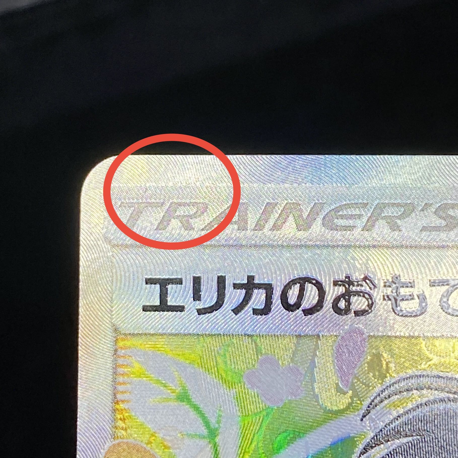 Erika's Hospitality SR 107/095