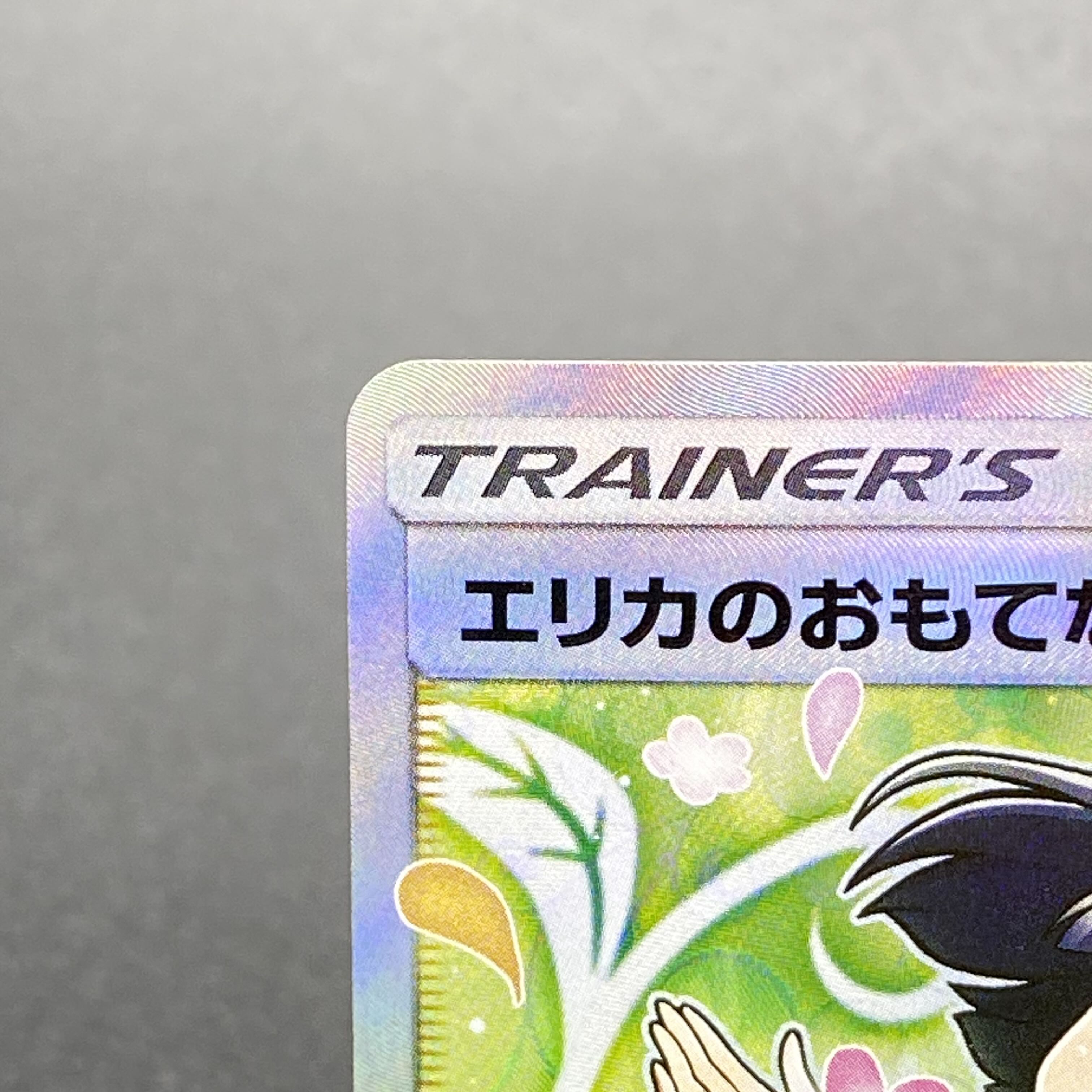 Erika's Hospitality SR 107/095