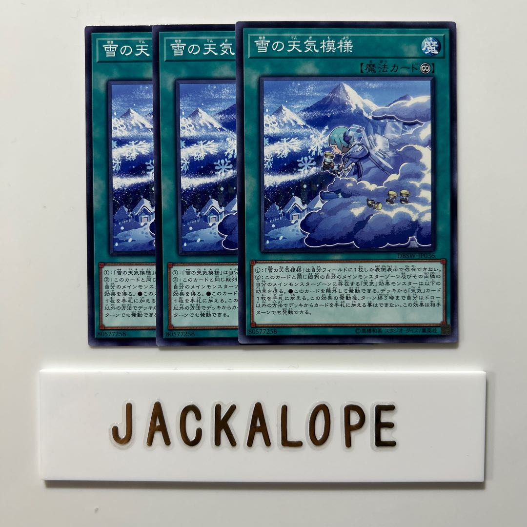 10627 The Weather Snowy Canvas $6942