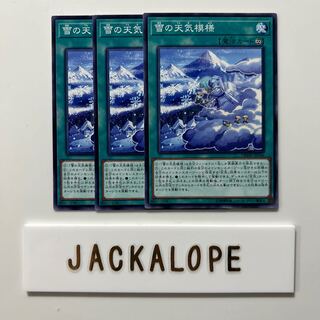 10627 The Weather Snowy Canvas $6942