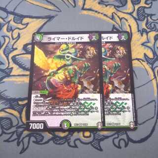 ライマードルイド 2枚