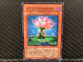 Yugioh Samsara Lotus Normal