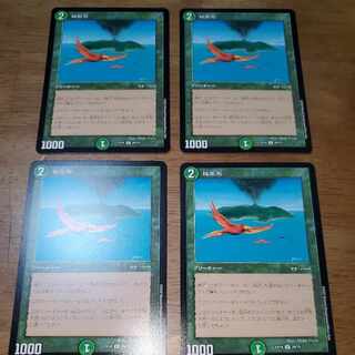 Birds of Paradise R 29/75