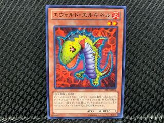 【アゴ之内】遊戯王 エヴォルド・エルギネル ノーマル