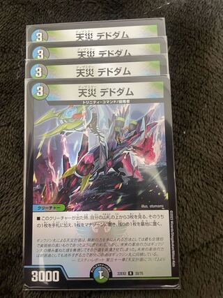 天災 デドダム R 33/75