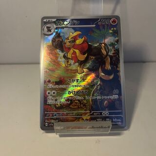 カエンジシ AR 077/073