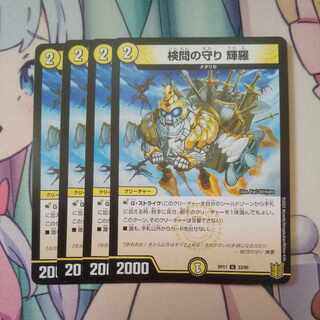 The Forceful Checkpoint's Protection Terra