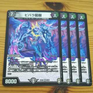 ビバラ龍樹 4枚