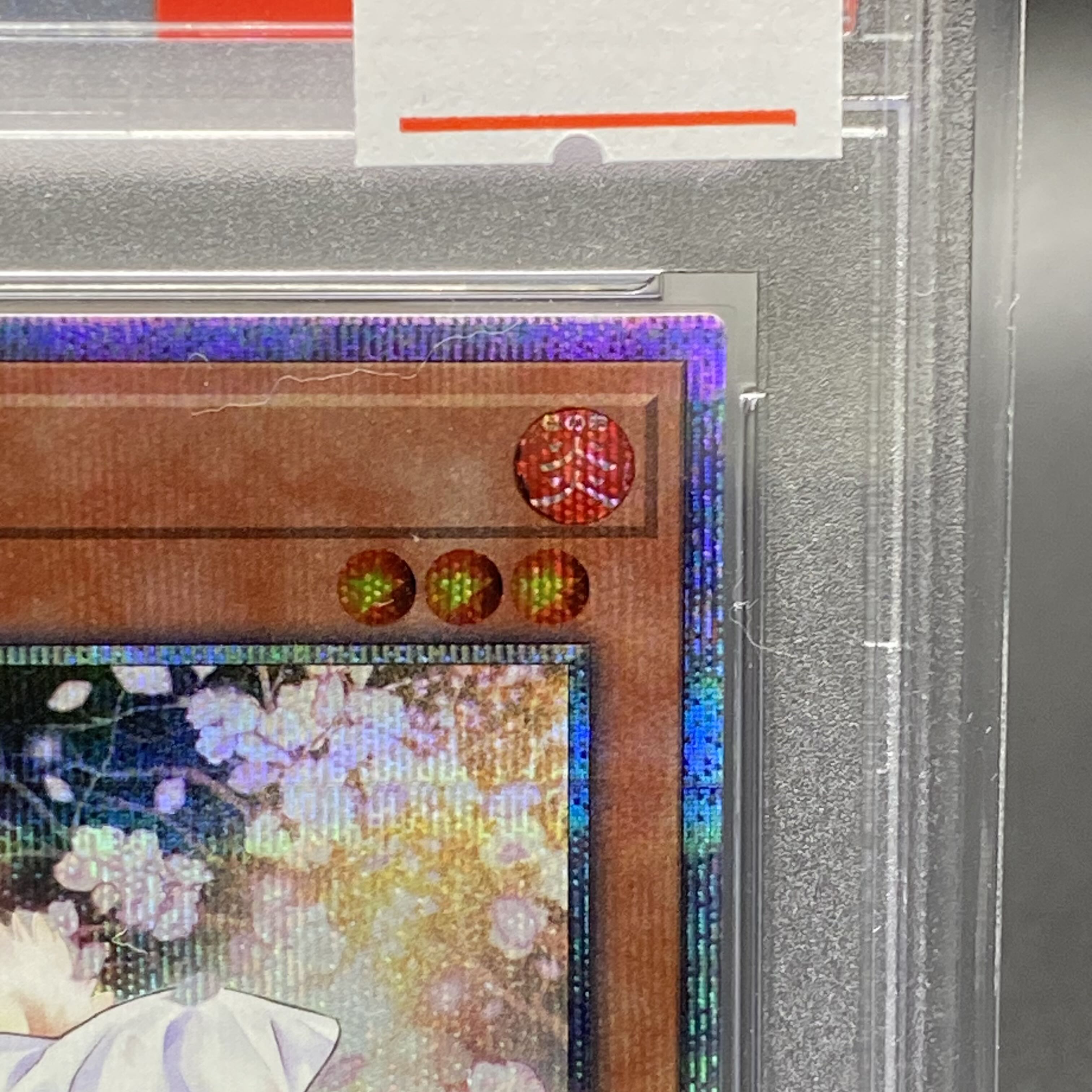 PSA9 Ash Blossom & Joyous Spring 20th Secret Rare 20TH-JPC85