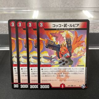 Cocco Bu Lupia R 19/74